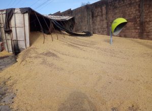 Caminhão carregado com soja tomba na área central de Avaré