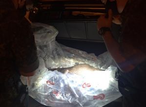 Dupla é presa por caça de animais após ser flagrada com capivara abatida e arma em Avaré