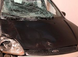 Cavalo solto na pista provoca acidente na rodovia Salim Curiati em Avaré
