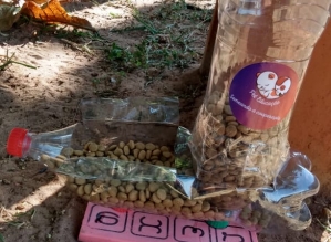 Centro feminino da Fundação CASA de Cerqueira César participa de projeto para alimentar cães abandon