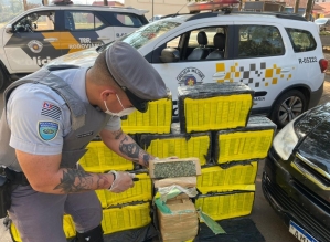 Polícia apreende mais de 200 quilos de maconha dentro de carro