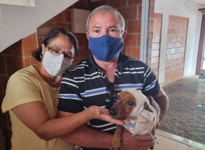 Adotado, cachorro que foi enterrado vivo reencontra casal que o resgatou 