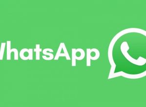 WhatsApp é principal rede de disseminação de fake news sobre covid-19