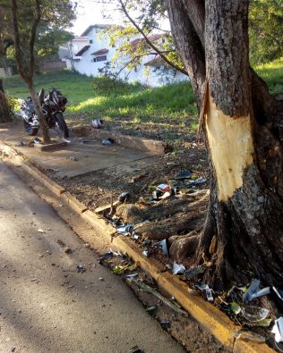 Adolescente morre ao bater moto em árvore em Avaré