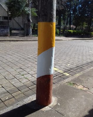 Fora de propósito e despreparado _ Chatô