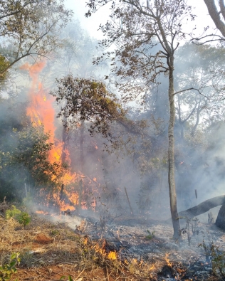 Incêndio queima grande área verde de Taquarituba