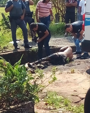 Homem é encontrado decapitado na cidade de Cerqueira César