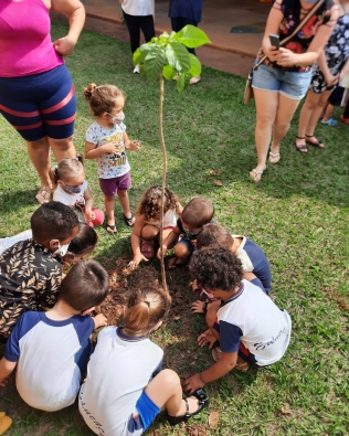 Avaré: Dia da Árvore é celebrado com plantio de mudas